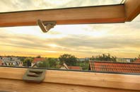 rated Devitts Green roof window companies